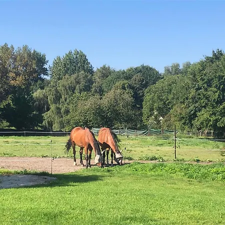 Chez Raoul - Grange De Charme & Luxe A La Campagne - 15min Charleroi Airport Pensión