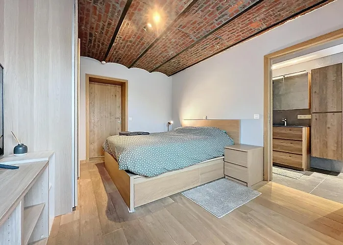 Maison d'hôtes Chez Raoul - Grange De Charme&luxe à La Campagne - 15min Charleroi Airport Nivelles